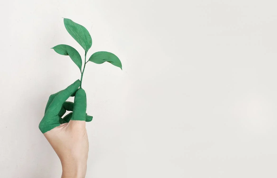 sustainability concept image hand with fingers painted green holding plant branch and leaves