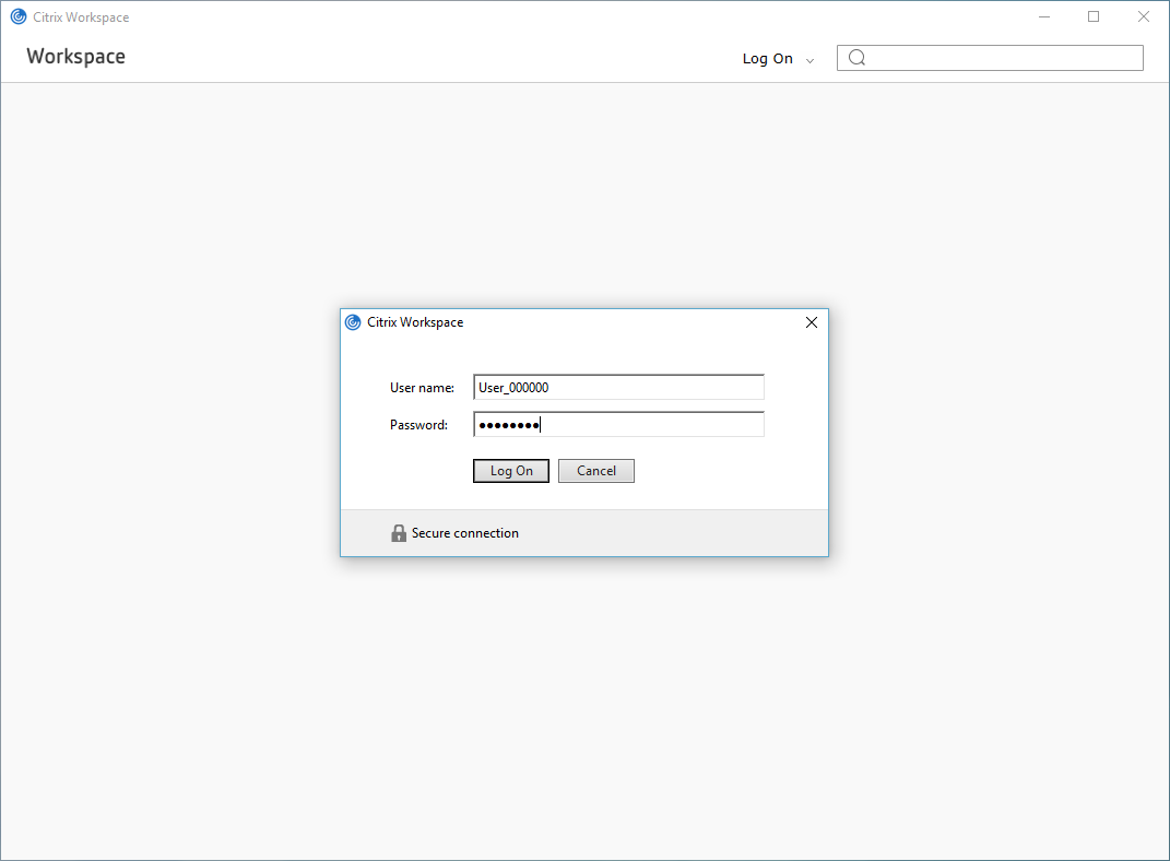 Screenshot of Citrix Workspace login with username and password